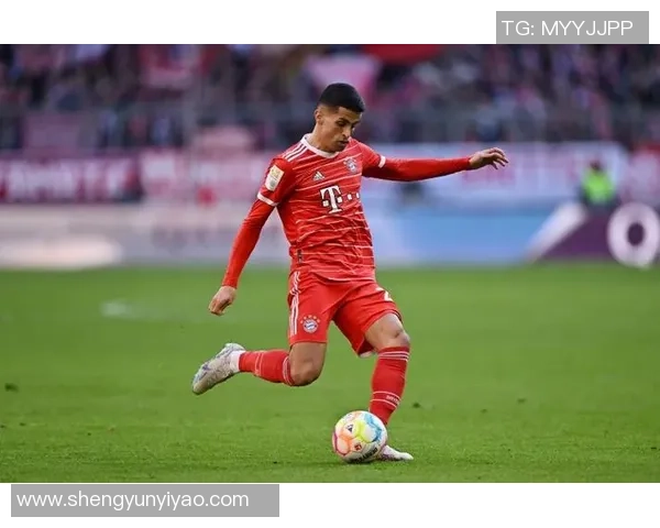 坎塞洛：从边缘球员到球队核心的华丽转身与未来展望