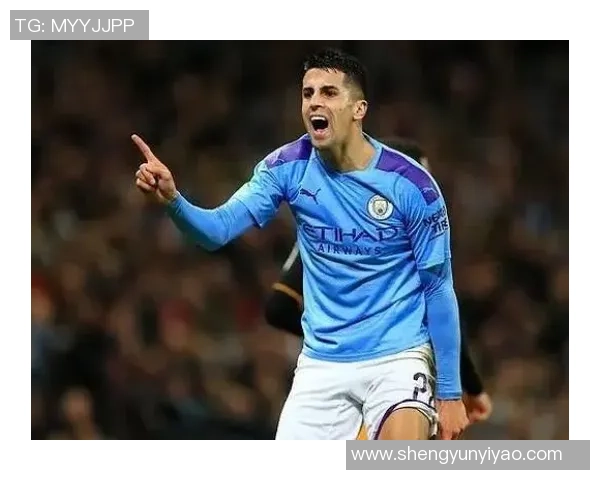 坎塞洛的足球之路：从青训崭露头角到欧洲顶级联赛的闪耀之旅